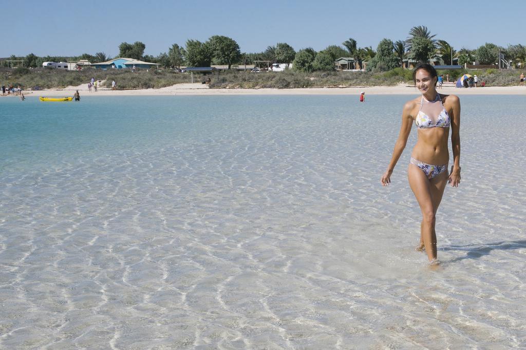 קורל ביי Ningaloo Reef Resort מראה חיצוני תמונה